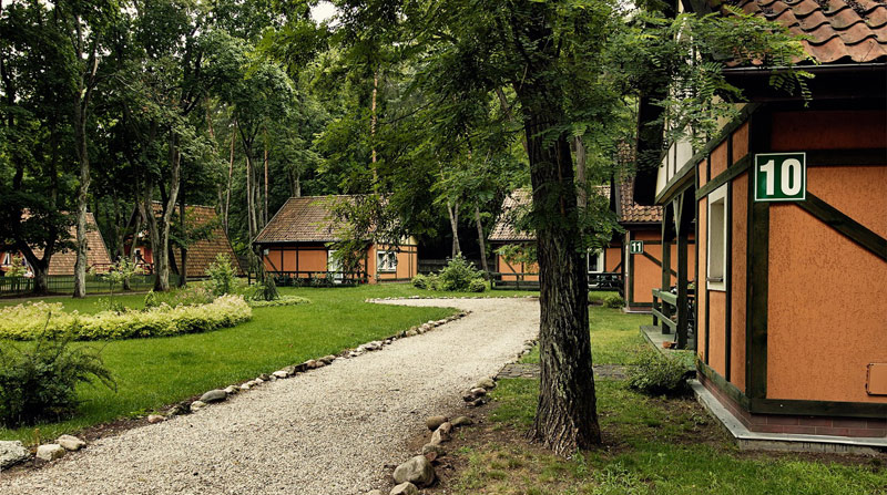 Zielone Wakacje? Naturalnie na Mazurach 