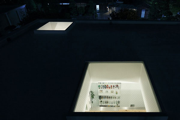 Japońska architektura : Takeshi Hosaka Architects