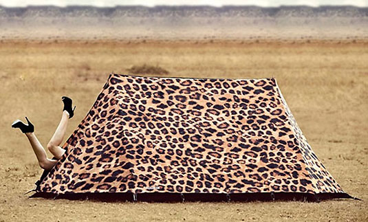 Nietypowy namiot na campingu : fieldcandy