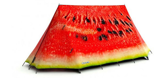 Nietypowy namiot na campingu : fieldcandy