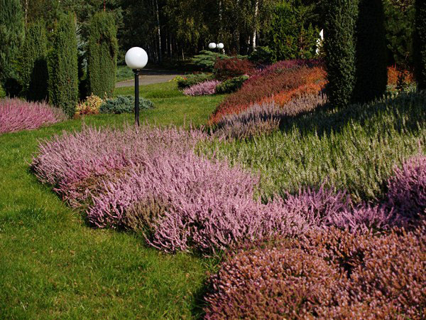 Naturalistyczny ogród wpisany w krajobraz : Argo Atelier