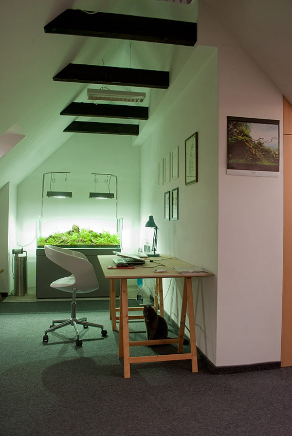 Nowoczesny apartament we Wrocławiu