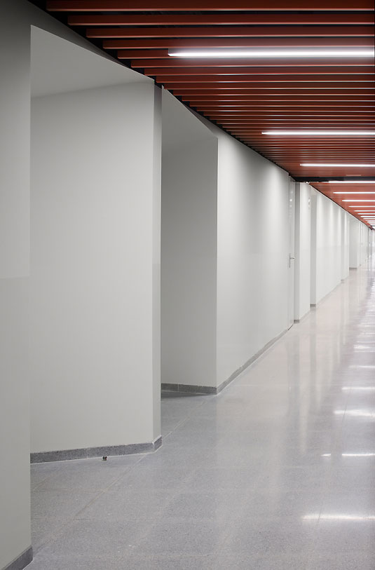 Nowy budynek uczelni na terenie kampusu Leioa : ACXT