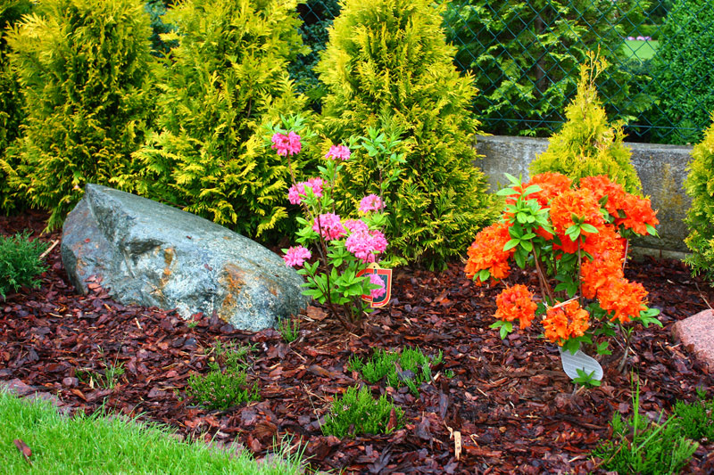 Ogród na działce o dużym spadku: LandscapeDesign.pl 