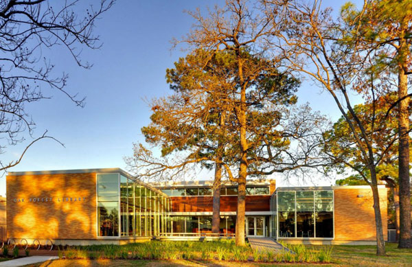 Oak Forest Library : remont budynku 