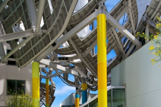 Lou Ruvo Center for Brain Health