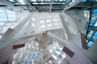 Lou Ruvo Center for Brain Health