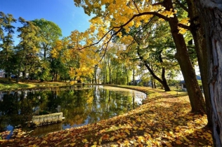 Luksusowe SPA : Dwór Kombornia