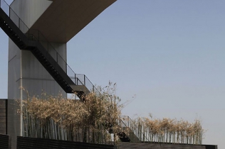 Muzeum Sztuki w Chinach : Steven Holl Architects